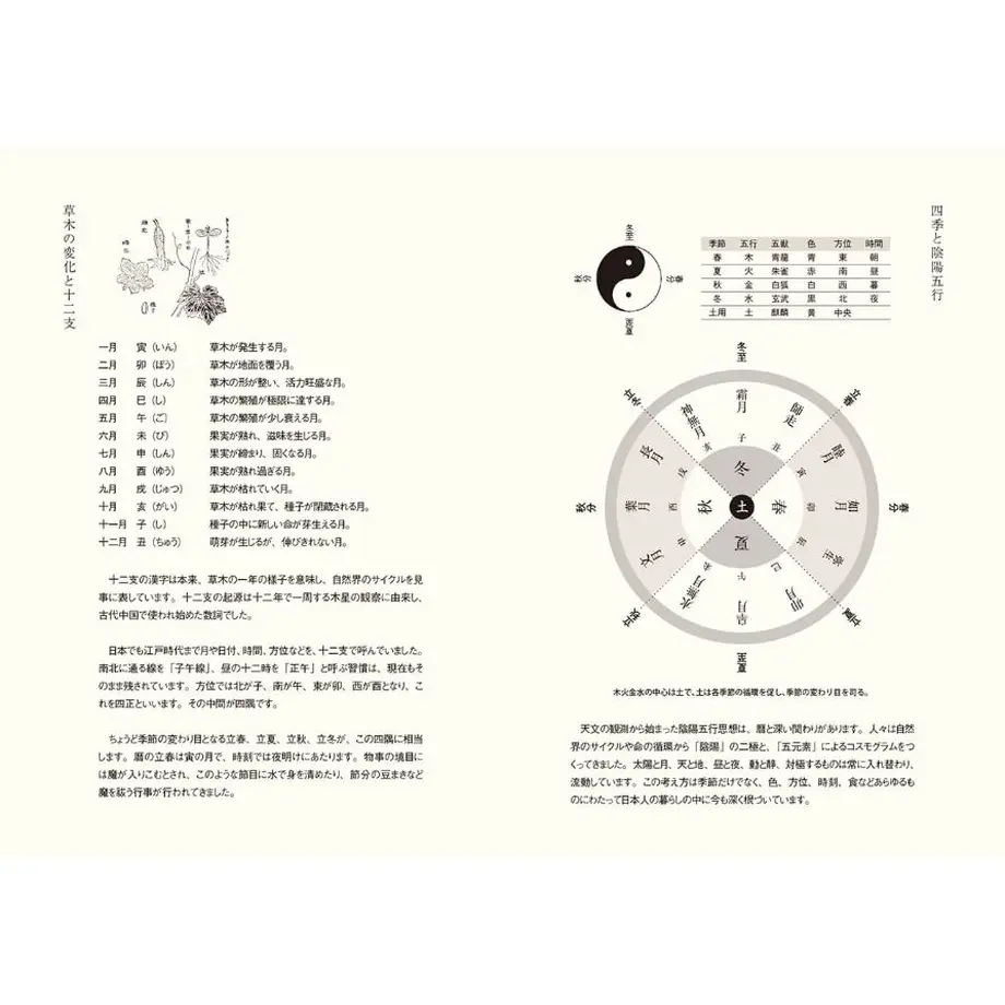 635750724b08391ea4e5bb36