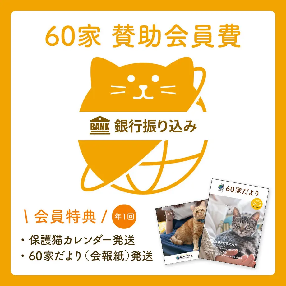 5e85be432a9a423278810e24