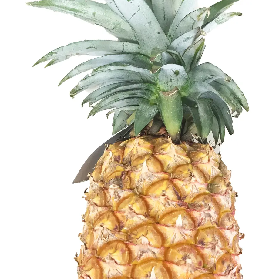 5d0ae0ec031d9f3c6f856e7d