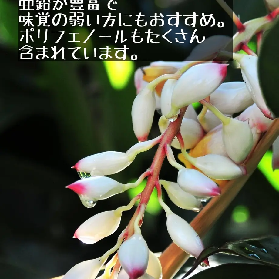 60e38b5fa00a4a78ae624da4
