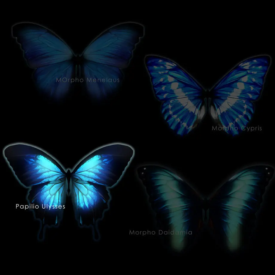 5f55d29b37b0bc322efe305b