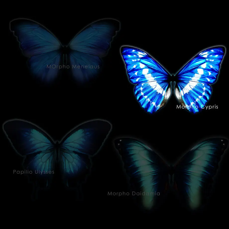 5f55d237f4cd0077c3314074