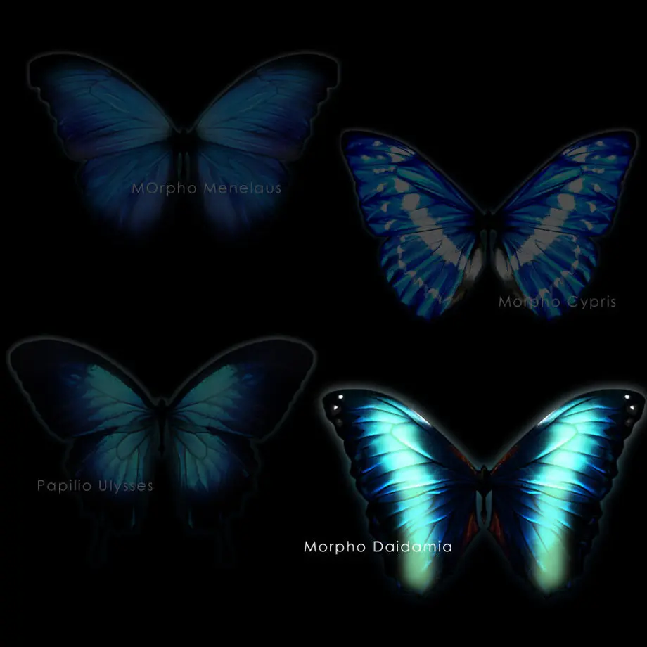 5f55d17d2742d7348dbe3a45