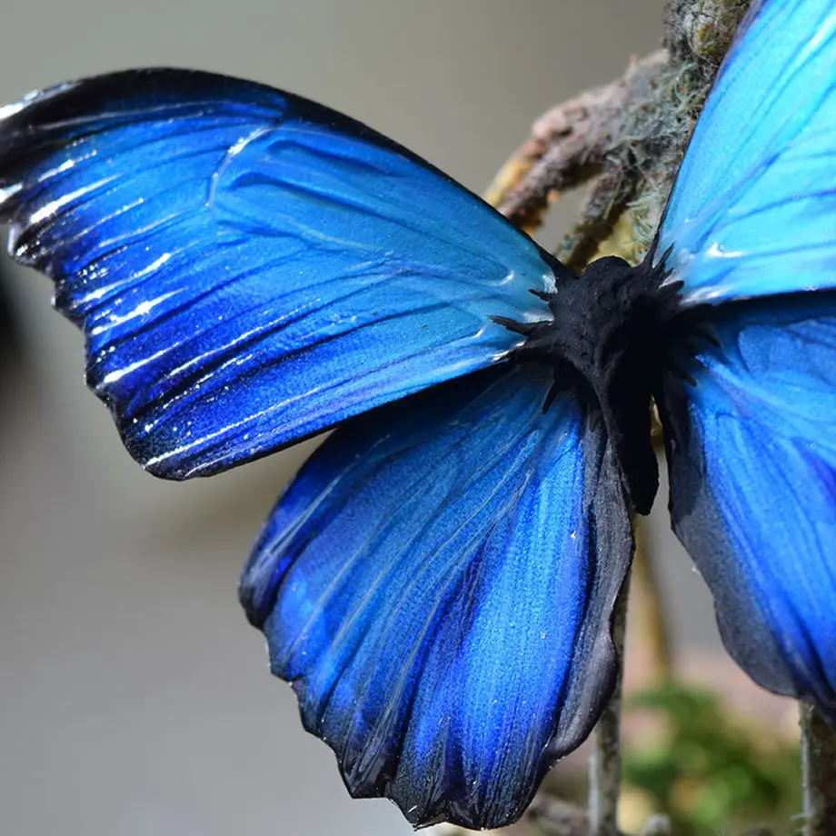 5fae2c0272eb467b310ab0f4
