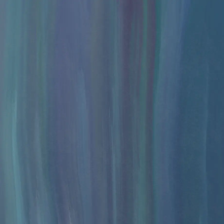 6009b4f2318625647cc02a21