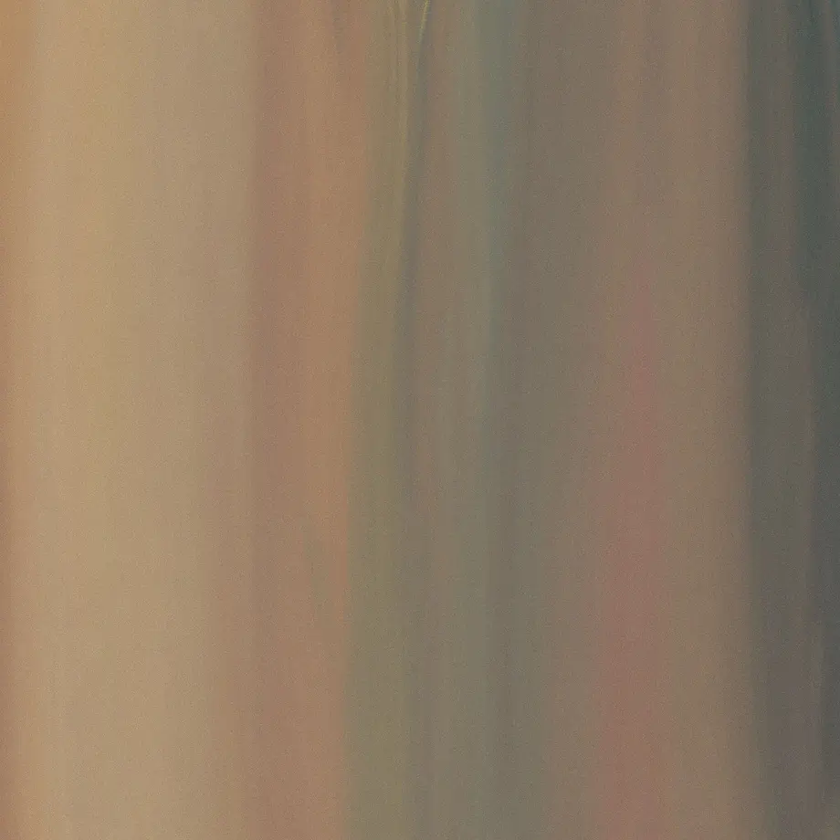 6009b65f24386035f456aeb9
