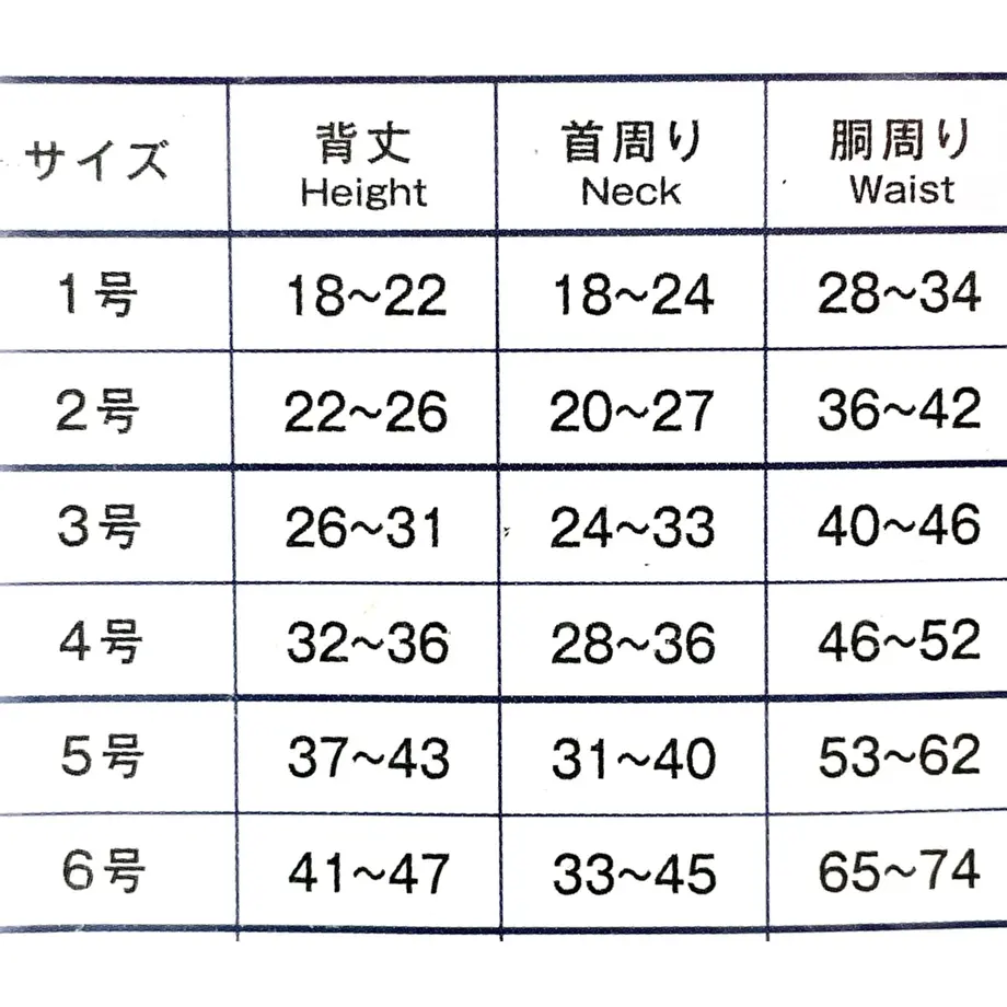 62c6c84ca74e3331b9d74a86