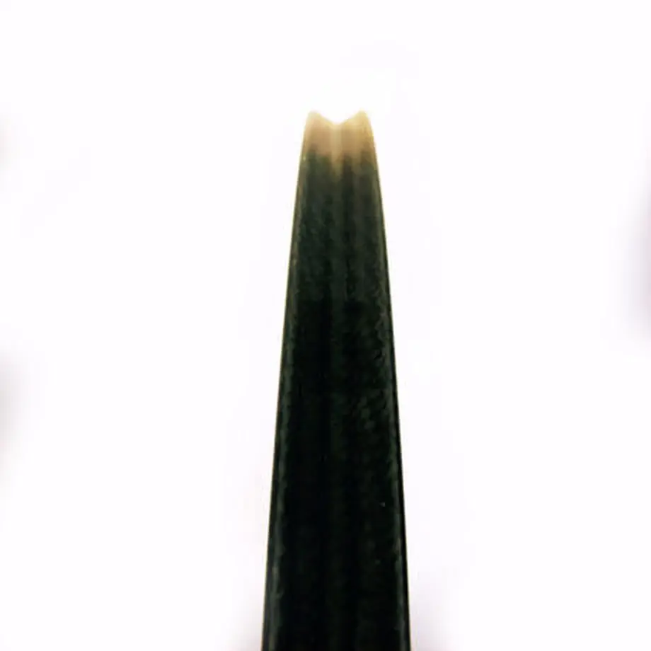 5cc26df0adb2a105806fde42