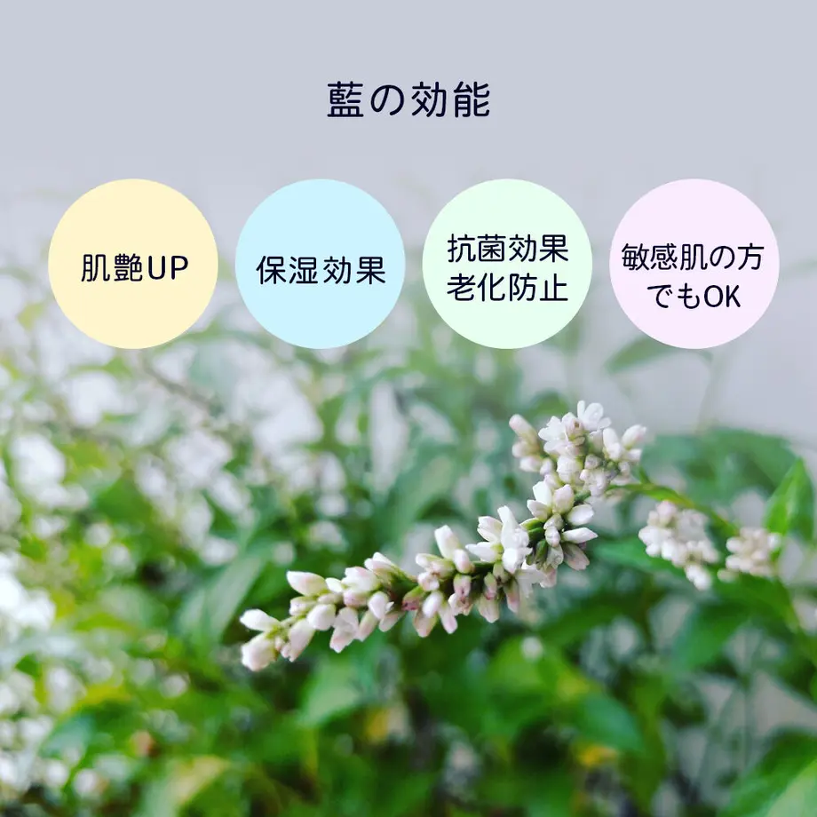 5eacece4cee9ea6786110e55
