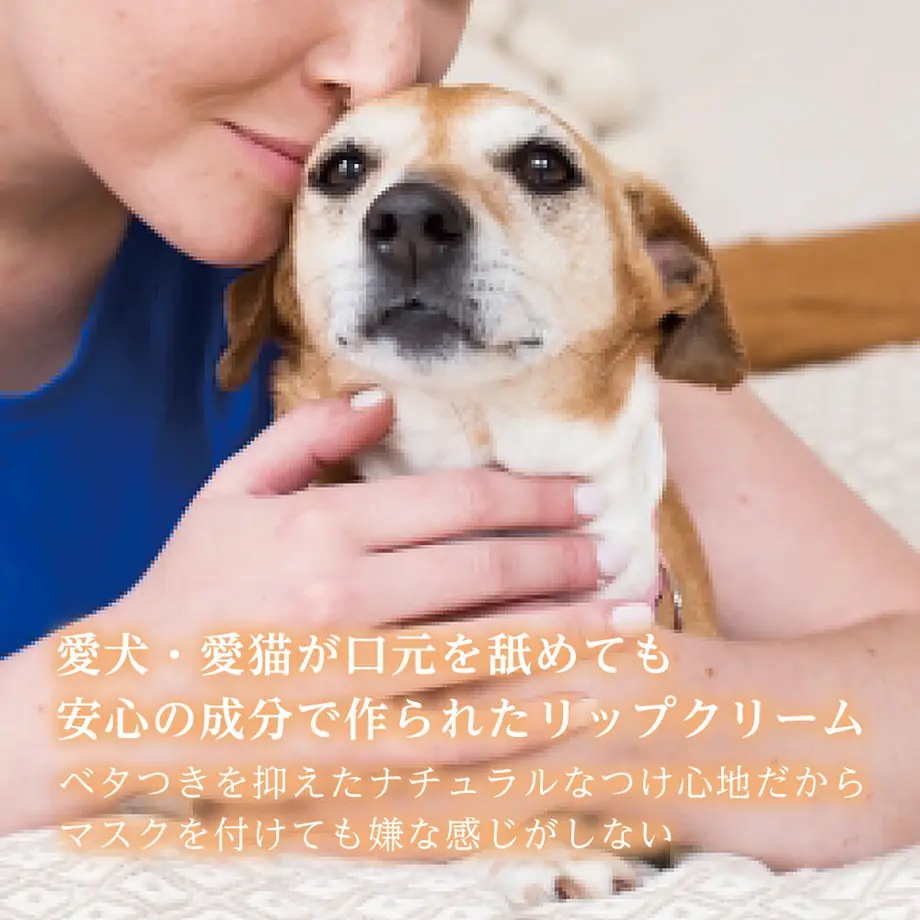 6178eb551bfe19234cceb877