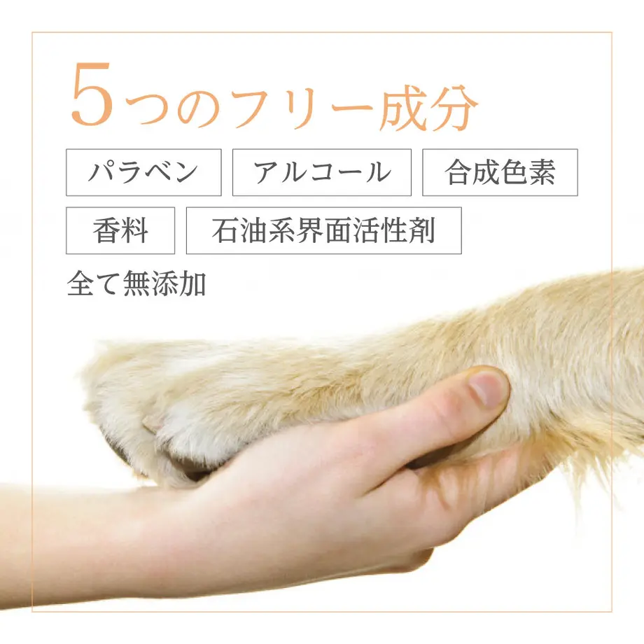 6178eb551bfe19234cceb877