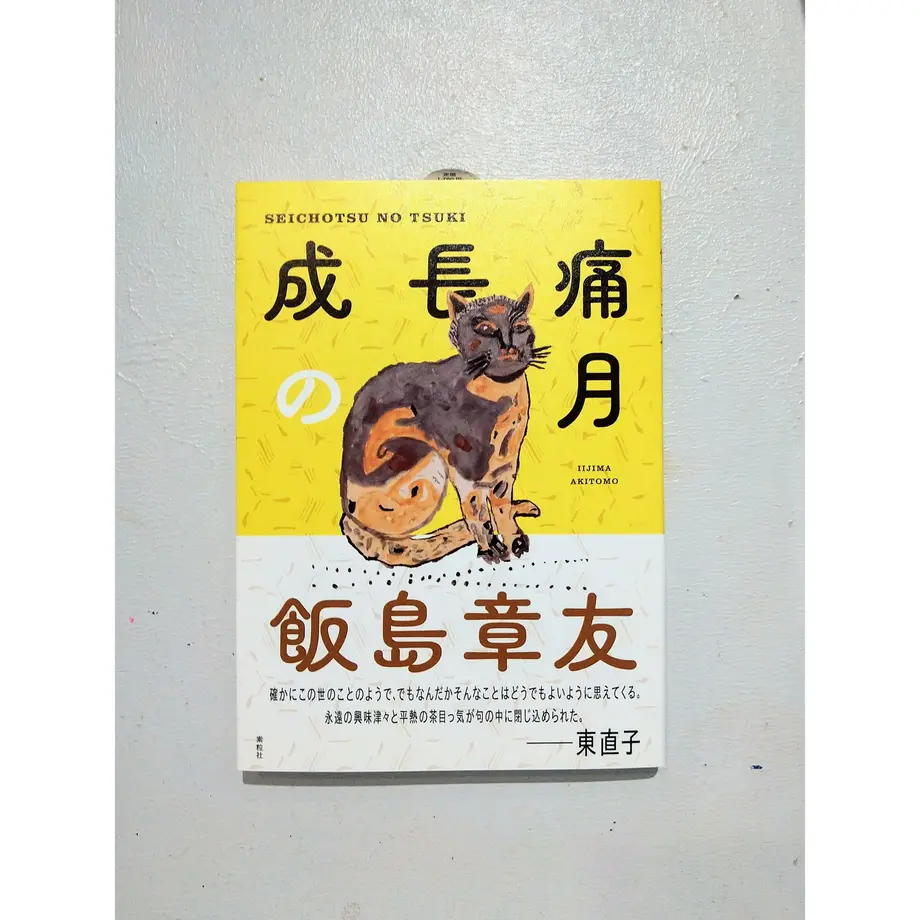 61385755306ad365ae91db12