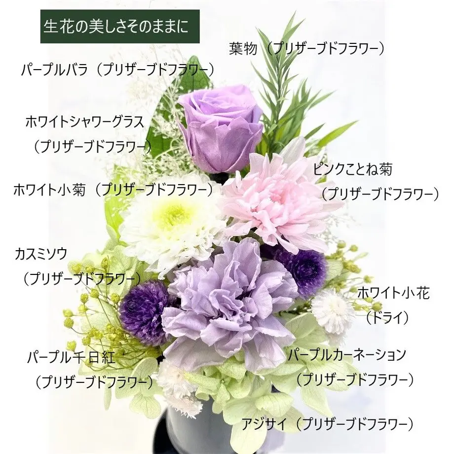 62cd0923b5285a204e0fd43b