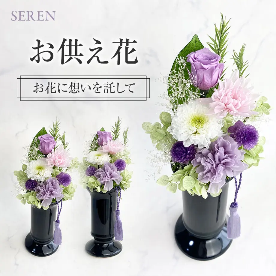 62cd0923b5285a204e0fd43b
