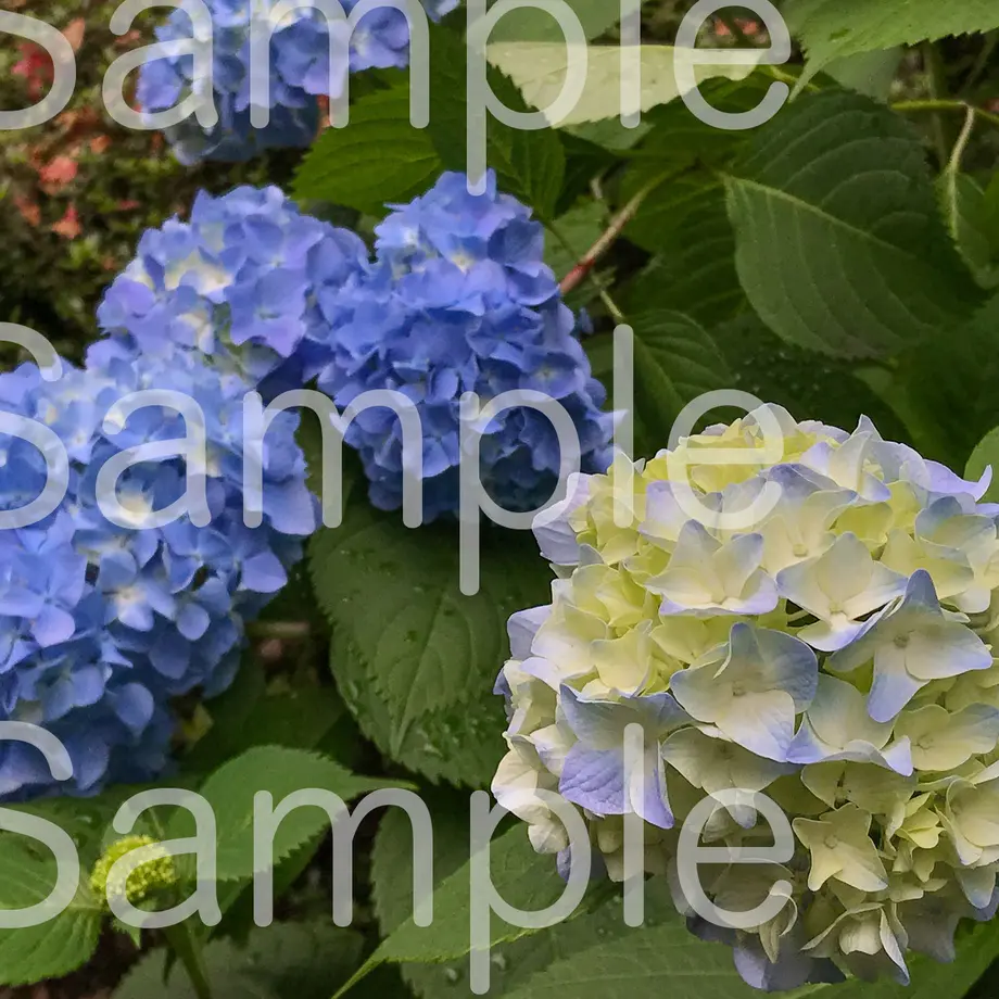 5d395a1266d86c03e6e78fe5