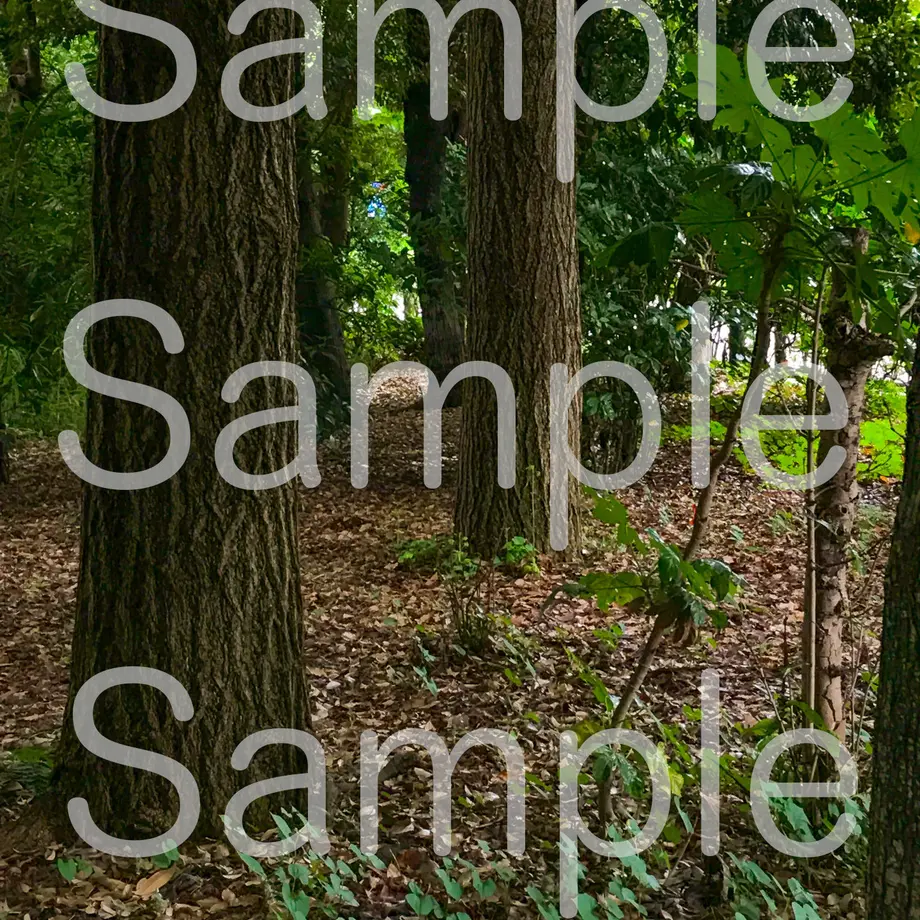 5d39589a66d86c280fe78dcf