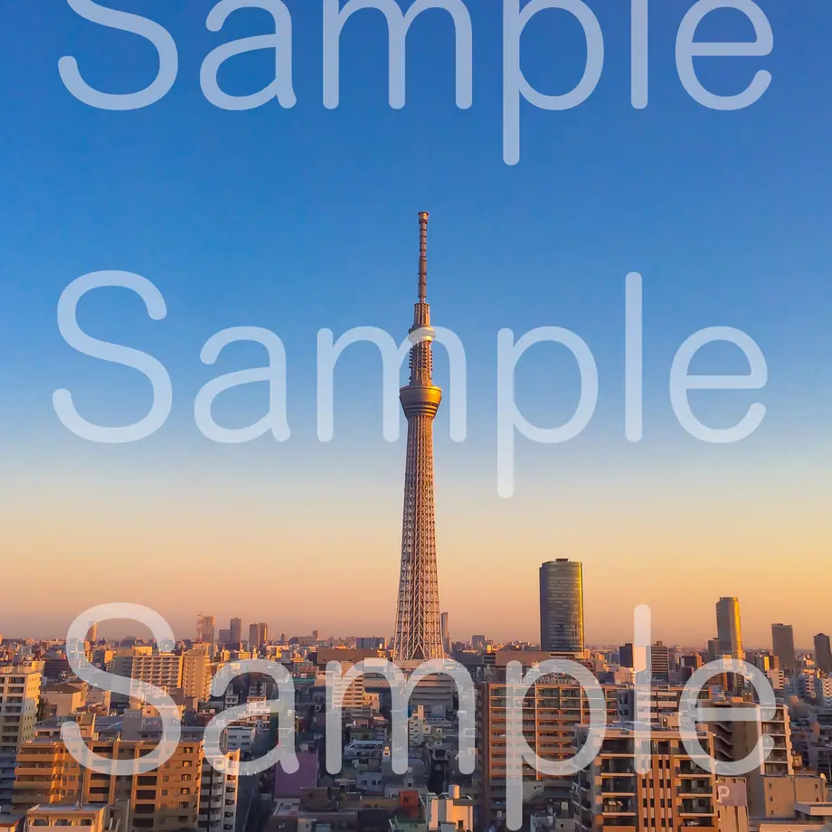 5d3955600838297f64952586