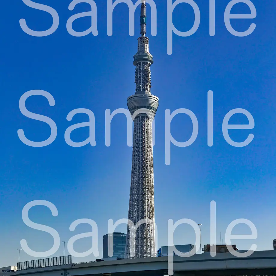 5d39558d66d86c0591e78d8f