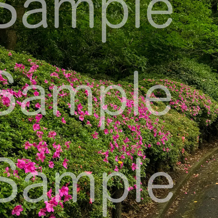 5d3959718e69194c7f180486