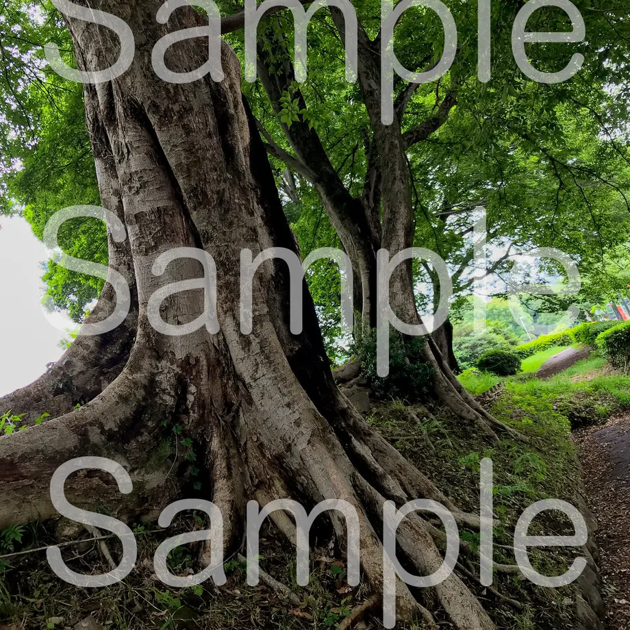 5d39585e4c80647e79a94e80
