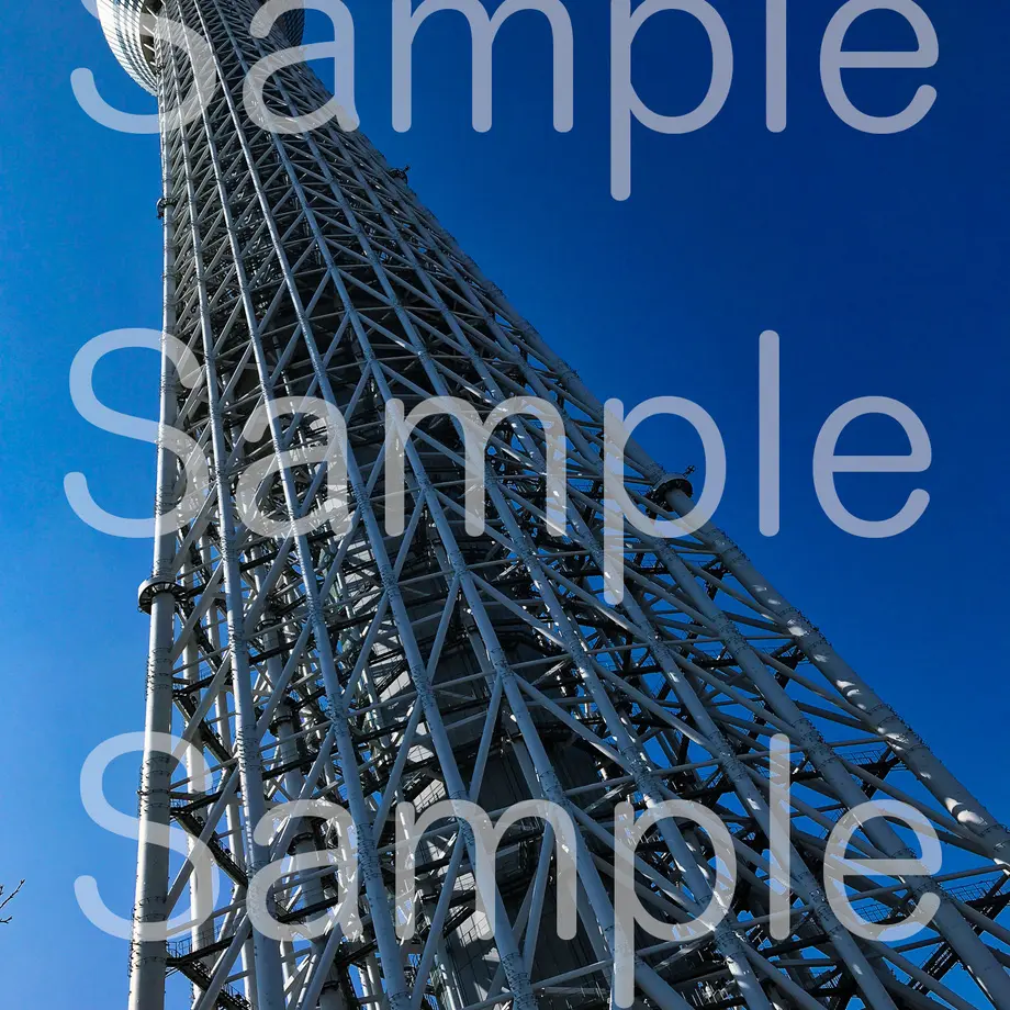 5d3955f48e6919251718046f