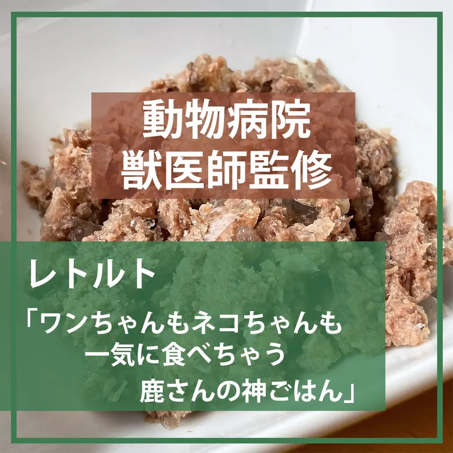 6311b2d225c9062627e7f510