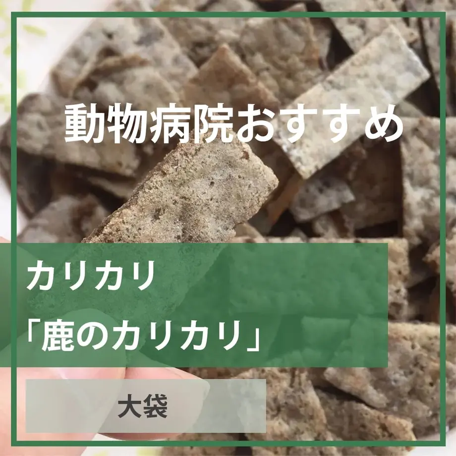 62b2840941e8c05d23fc1535