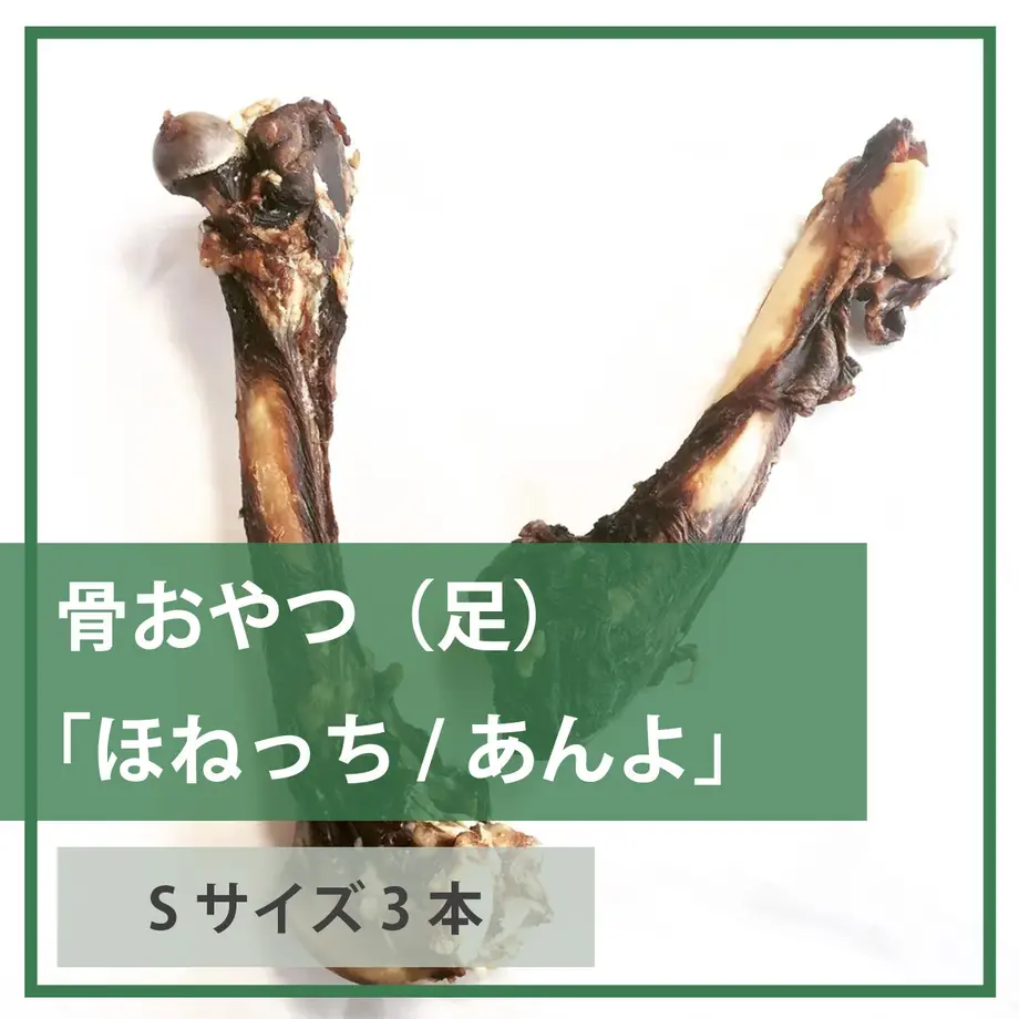 624bbf4230344b30b2672d5c