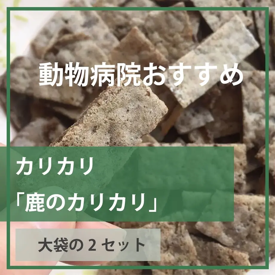 62b28cd941e8c05d23fc17c9