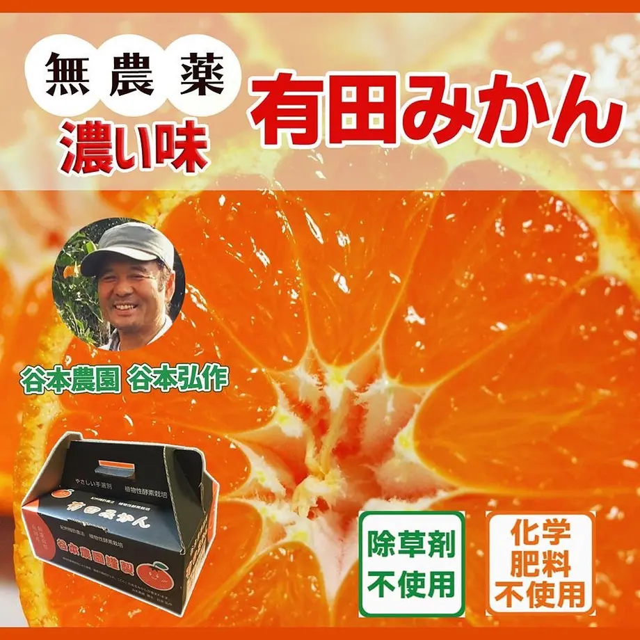 5f9505dc1c151831bfc173c8