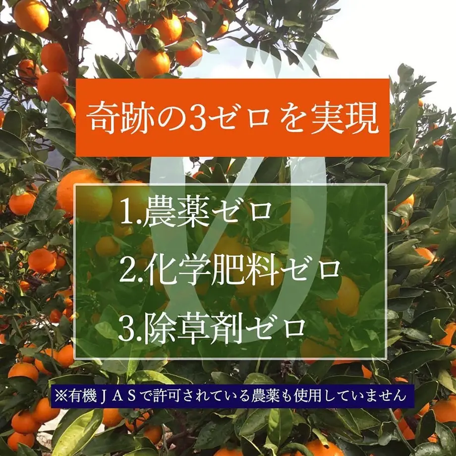 5f9505dc1c151831bfc173c8