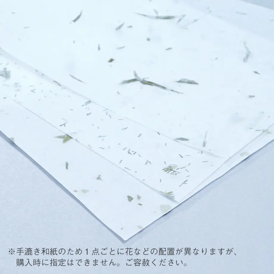 6045cf2a6e84d5677d50979f