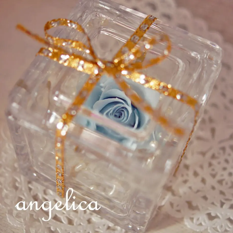 51f288b6a95dcbb610000785