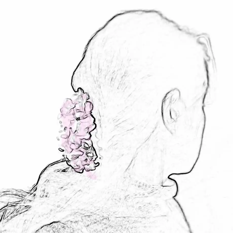 5b8176315496ff384c002152