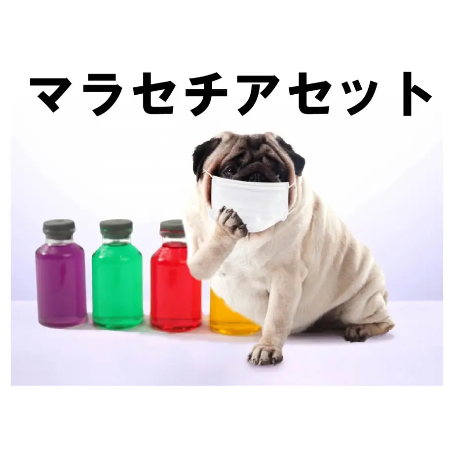 62c53a82d1912324ec6f4f5c