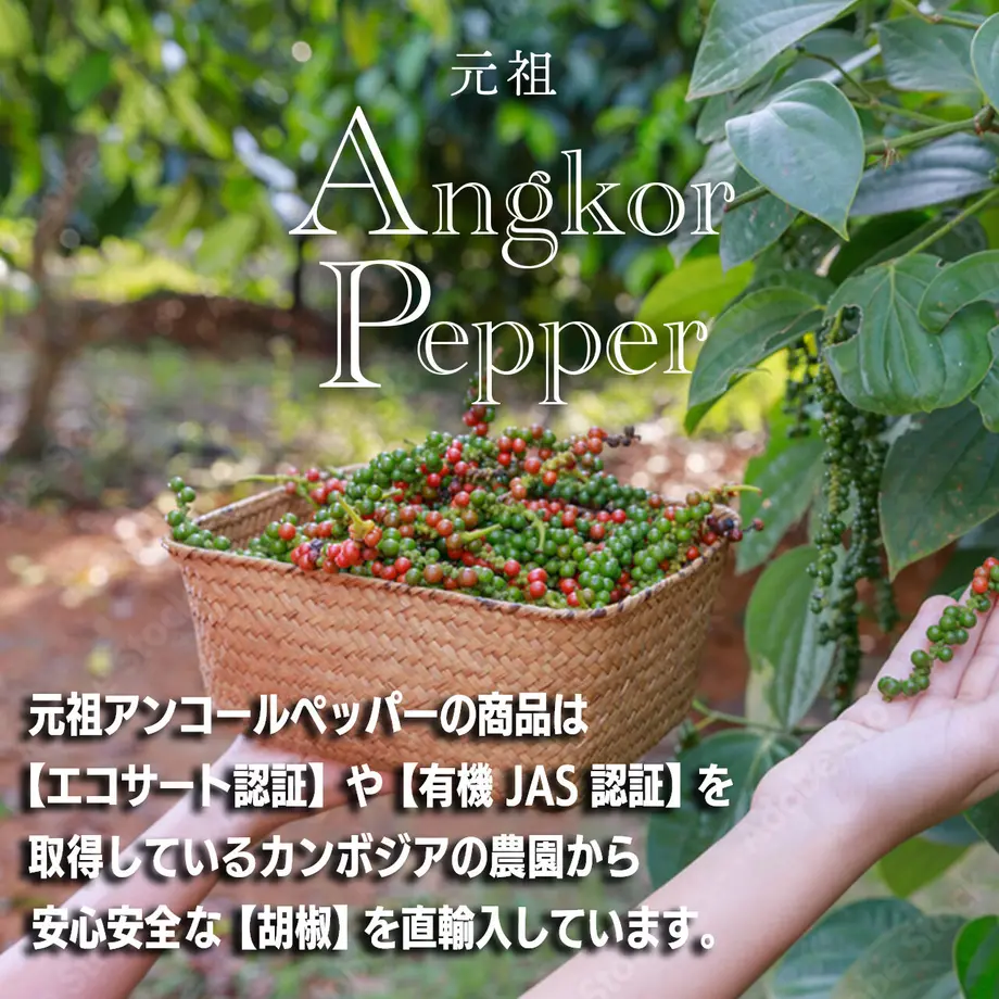 5ca5a08e0686f367208e3b5f