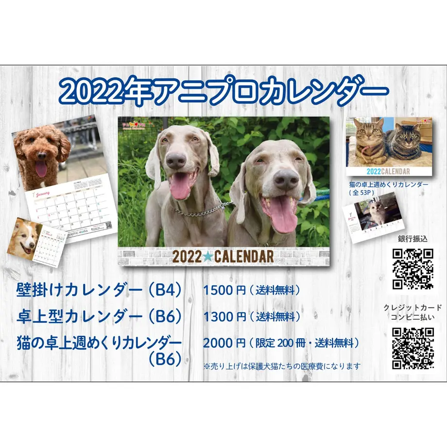 5f661ddf8f2ebd0631994293