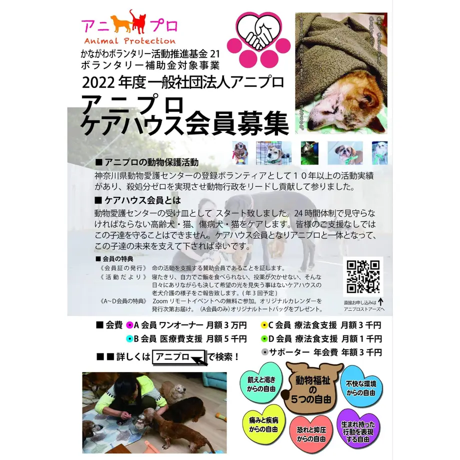 5f33942c791d027d7610b40a