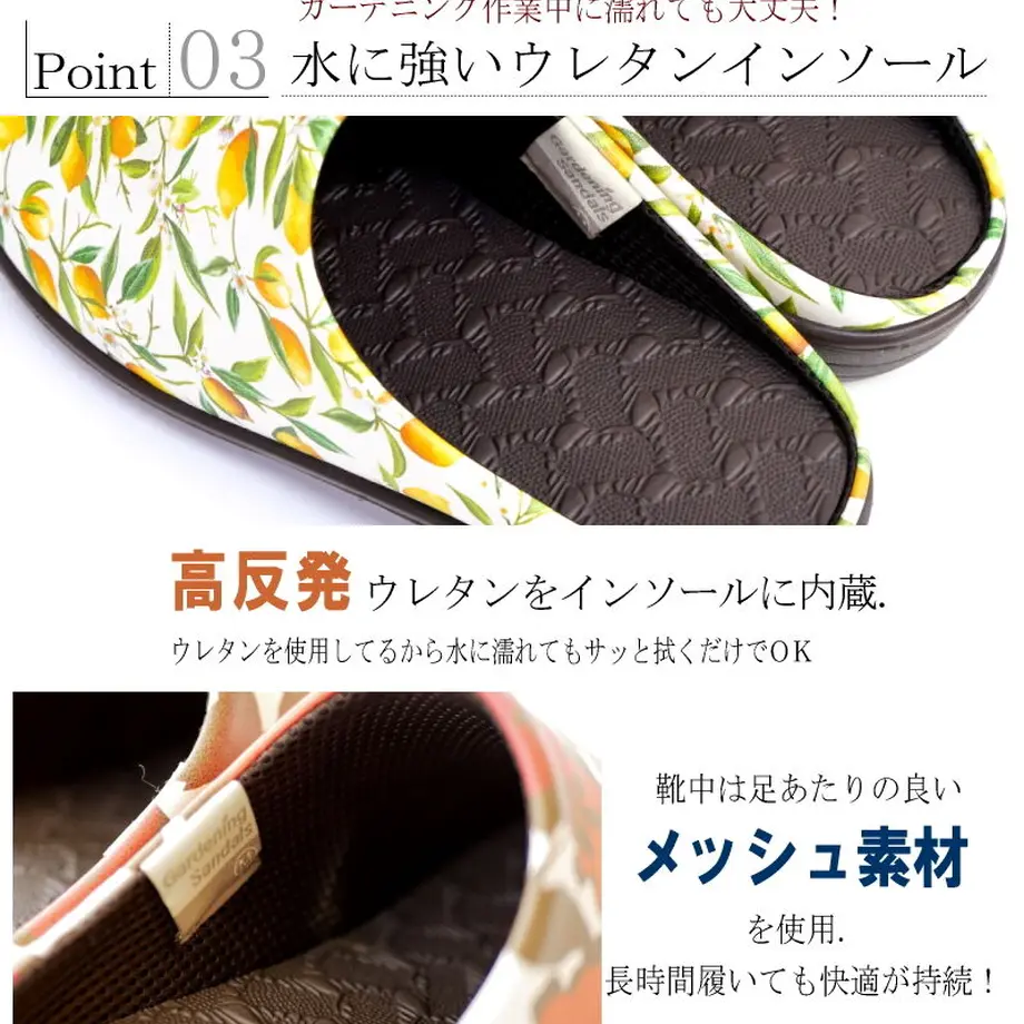 623c29e19a7062386a7d7c2f