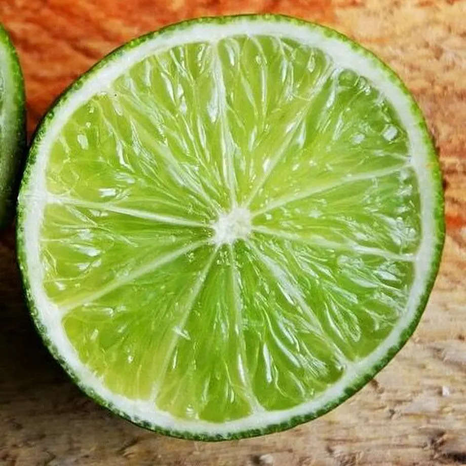 62e4e23d8a0bd02dd6d38036