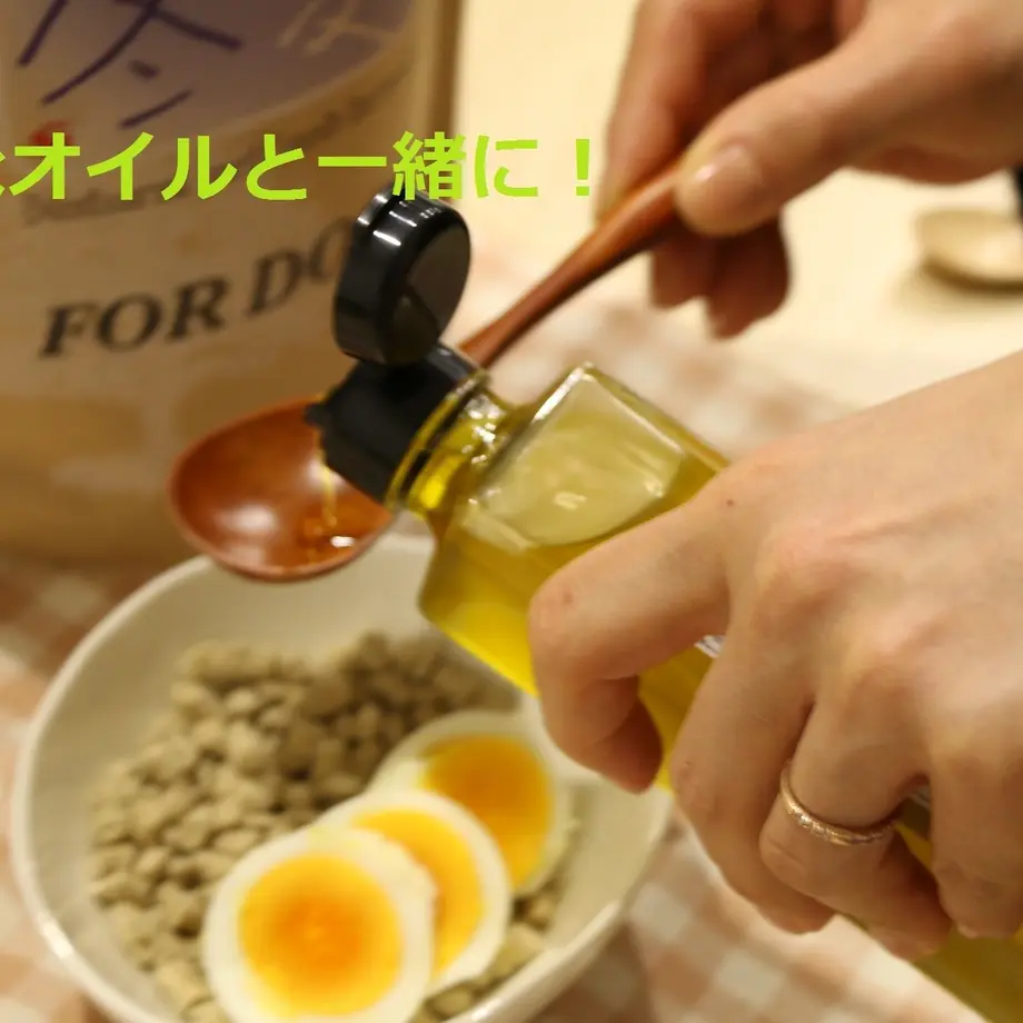 594df98f428f2d29ca001cc6
