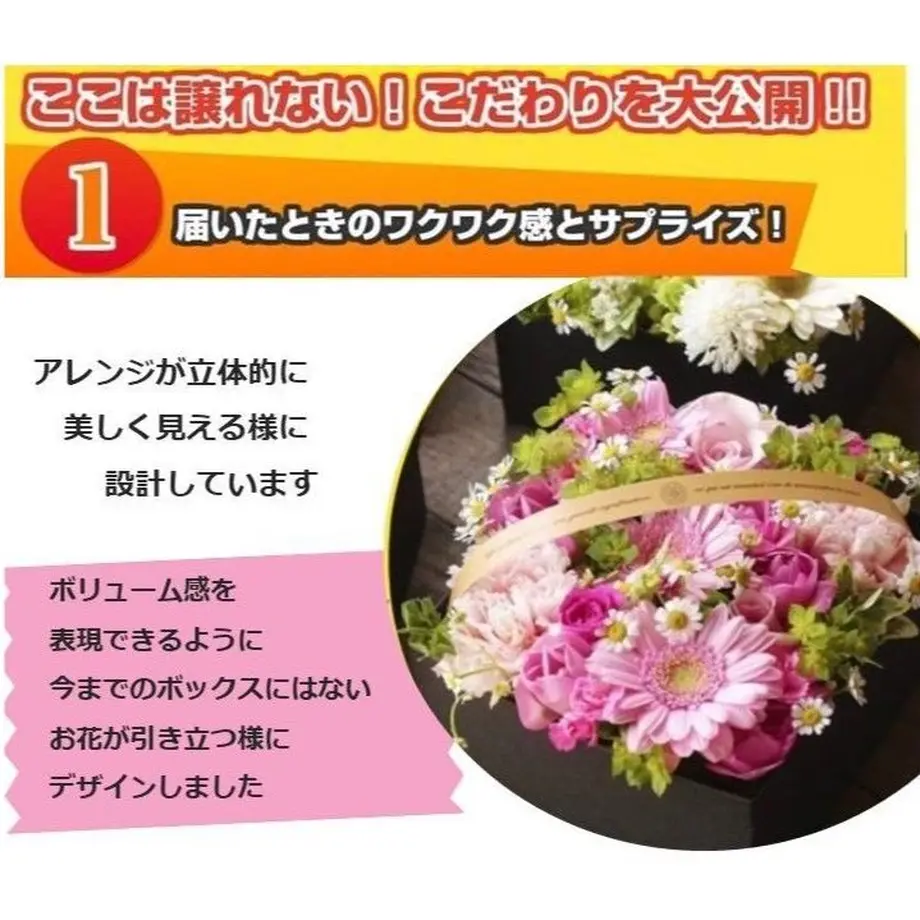 5b3ee1cf5496ff58ba00446a