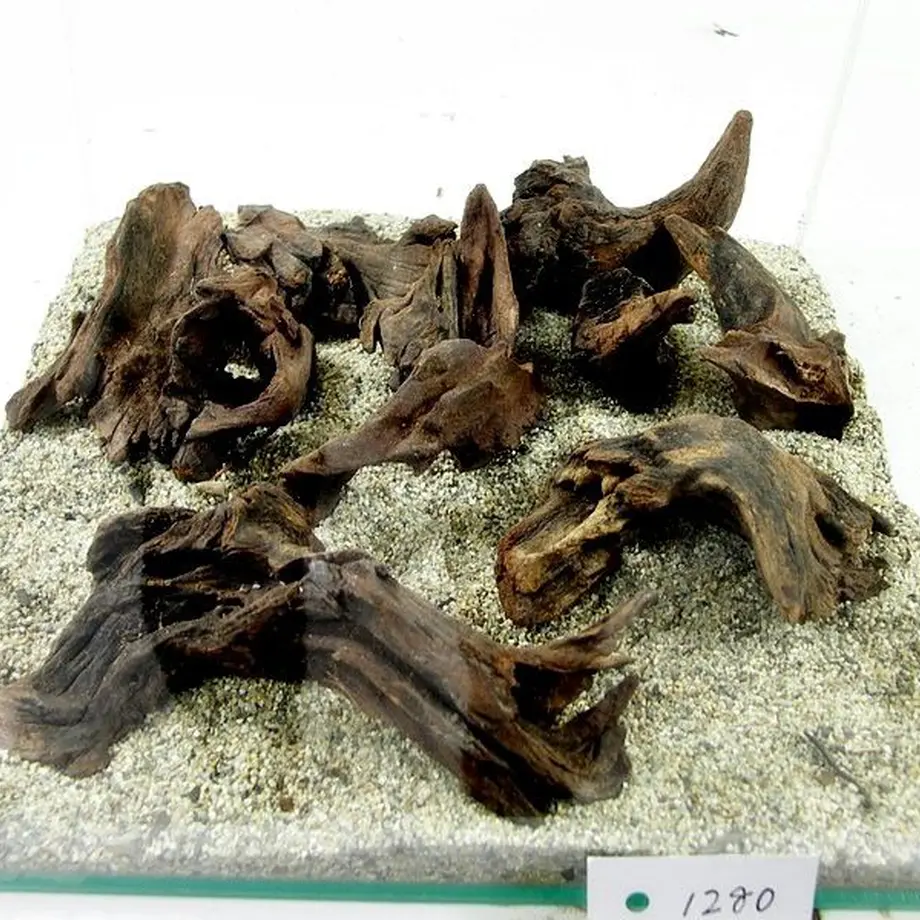 MRW-3602 天然流木 レア物 アクアリウム MRW-3601 天然赤系流木 レア物