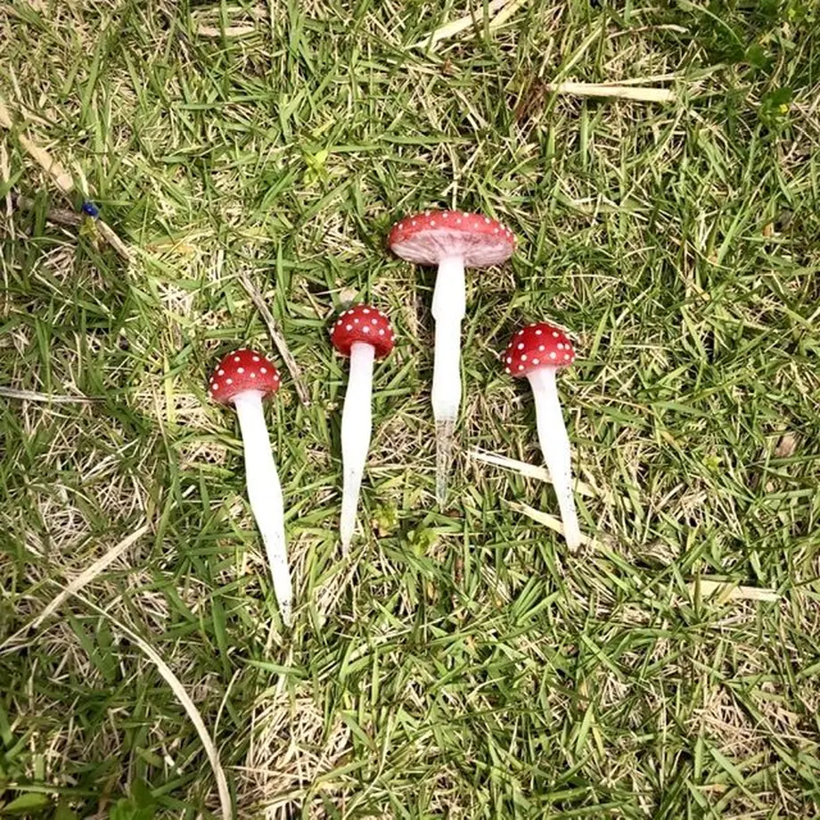 5e9135e6e20b0452c231e777