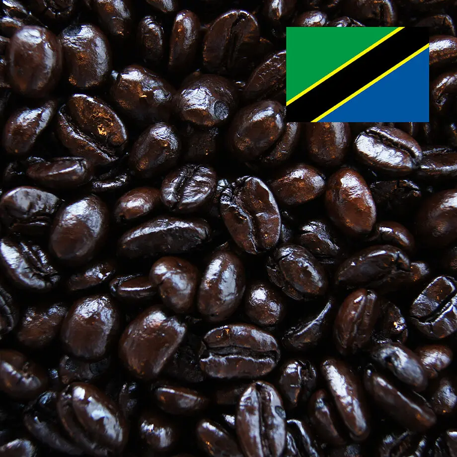 5f564e588093391f3fc4250e