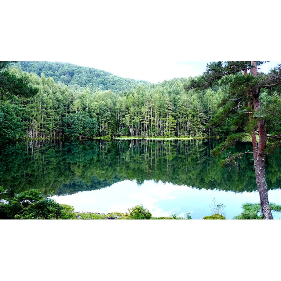 5f55df89f9c5902035e3c0a7