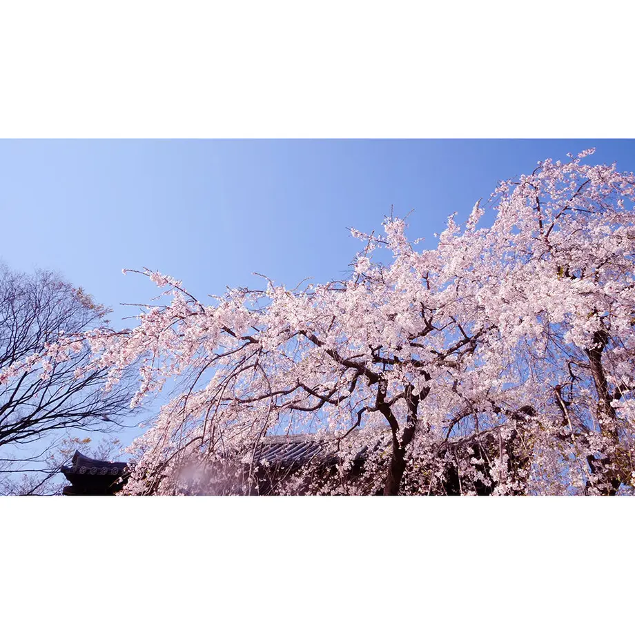 593f1f49428f2d2a1b0045e4