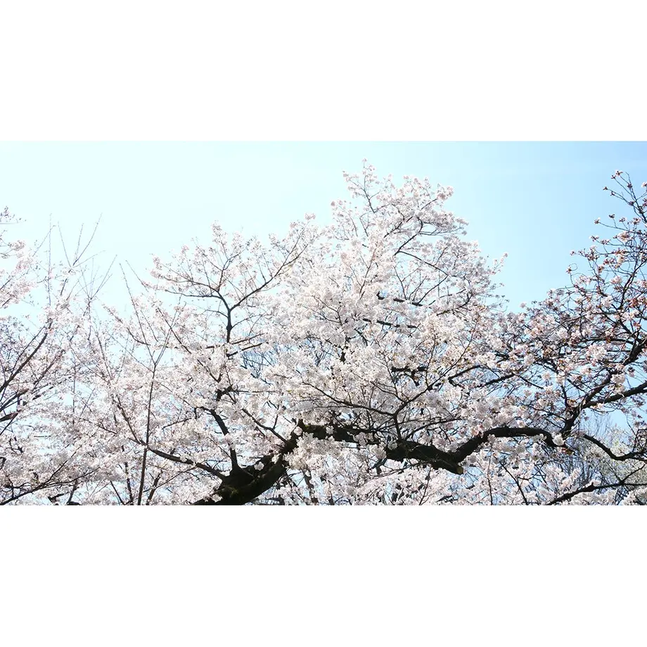 593f1f49428f2d2a1b0045e4