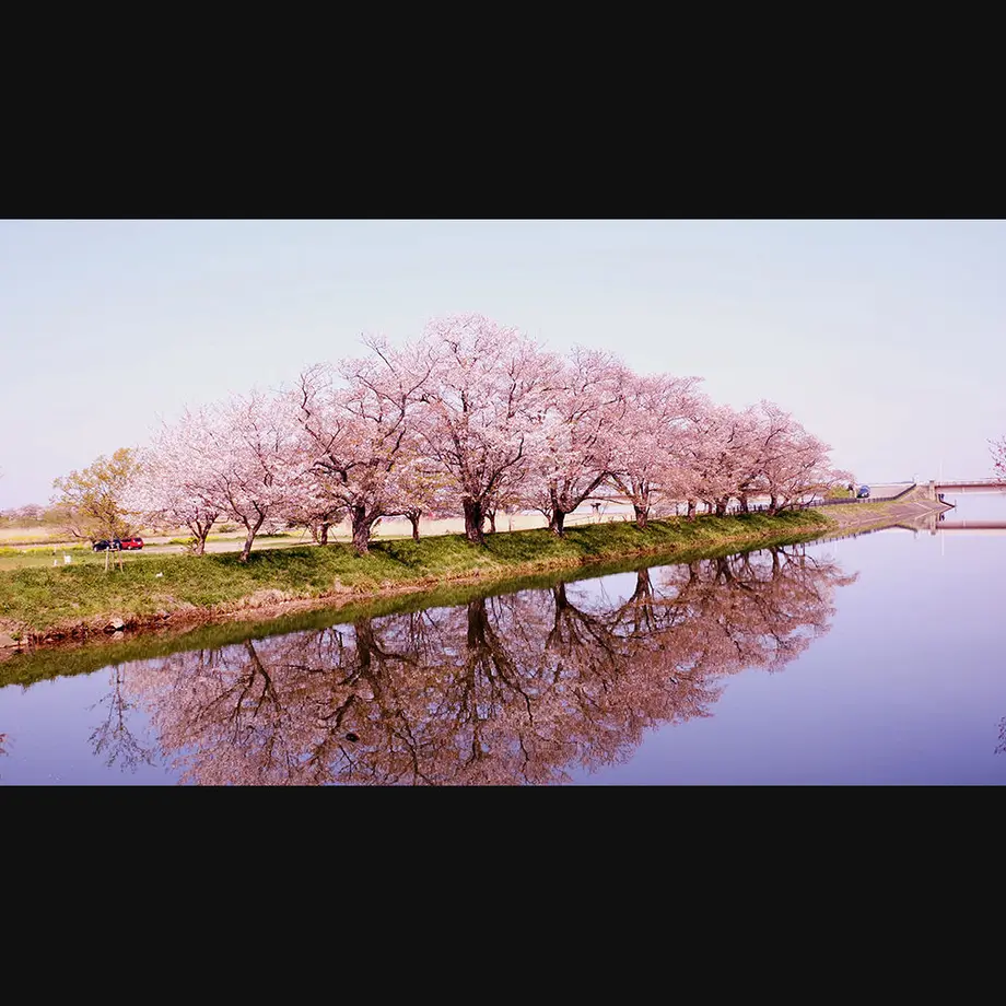 5ee97497d26fa529017af84c