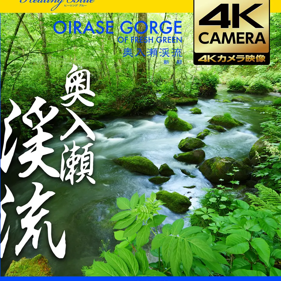 593f2143f22a5b763e004931